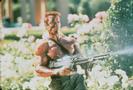 Commando