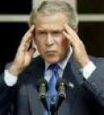bushhead