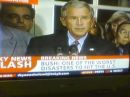 bushsky