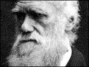 Darwin