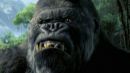 kingkong