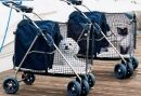 pet stroller