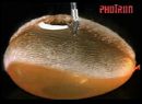 waterballoon